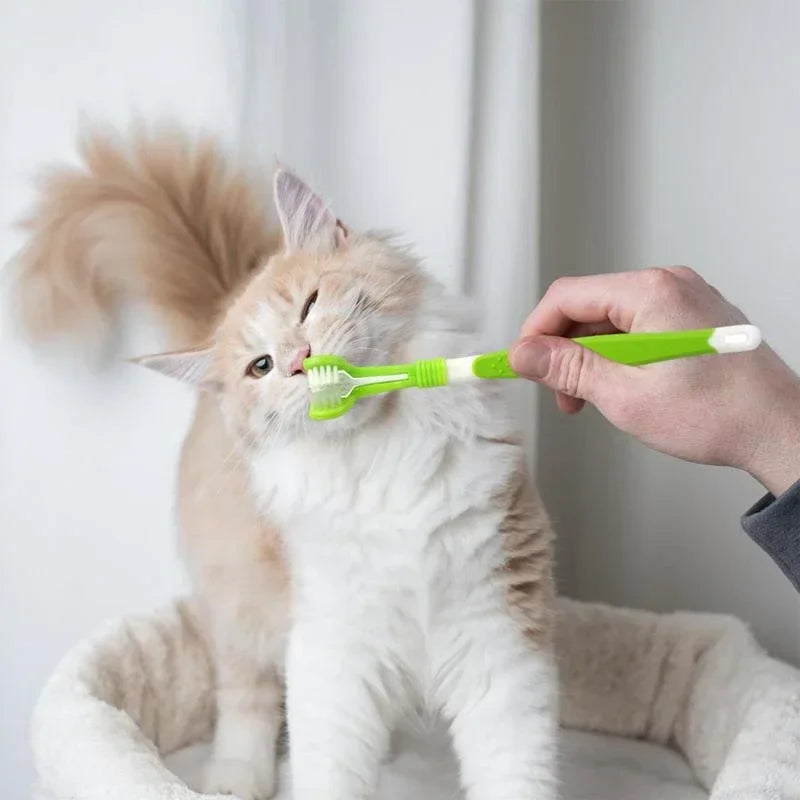 Brosse à dents à 3 faces pour chiens et chats – Nettoyage en profondeur des dents