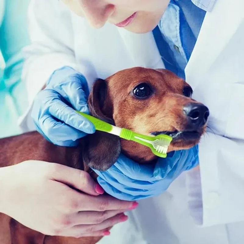 Brosse à dents à 3 faces pour chiens et chats – Nettoyage en profondeur des dents