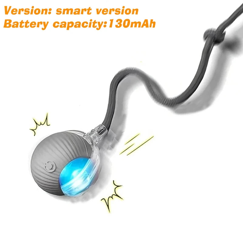 SmartPup Roller Ball – Interactive Rechargeable Dog Toy