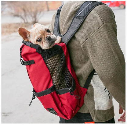 Ventura Pet Carrier – Outdoor Mesh Backpack for Dogs | Ventilated & Comfortable