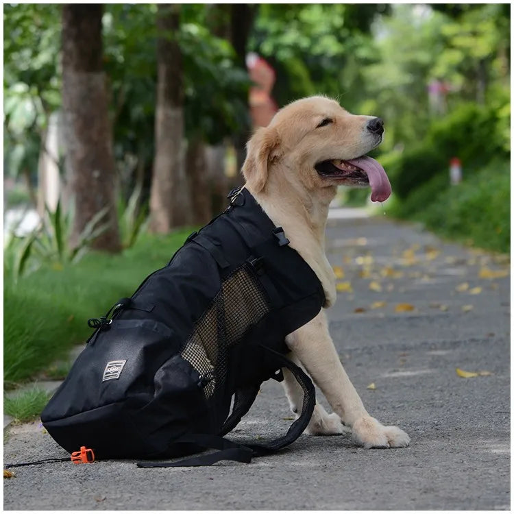 Ventura Pet Carrier – Outdoor Mesh Backpack for Dogs | Ventilated & Comfortable