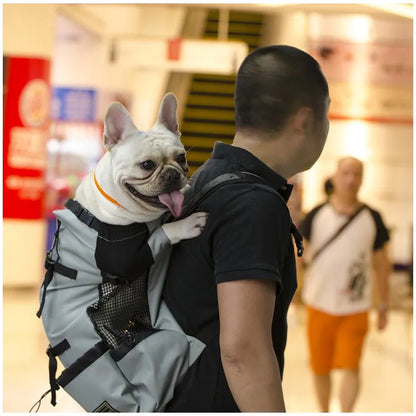 Ventura Pet Carrier – Outdoor Mesh Backpack for Dogs | Ventilated & Comfortable