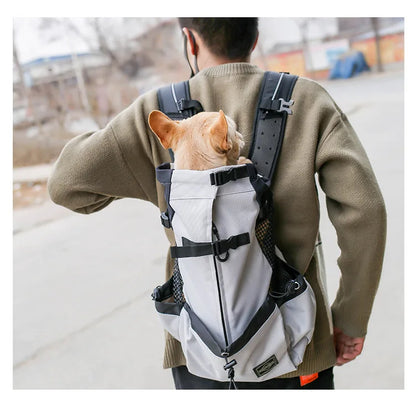 Ventura Pet Carrier – Outdoor Mesh Backpack for Dogs | Ventilated & Comfortable