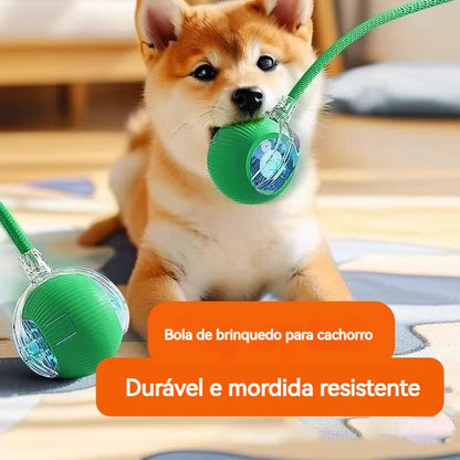 SmartPup Roller Ball – Interactive Rechargeable Dog Toy