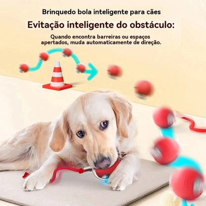 SmartPup Roller Ball – Interactive Rechargeable Dog Toy
