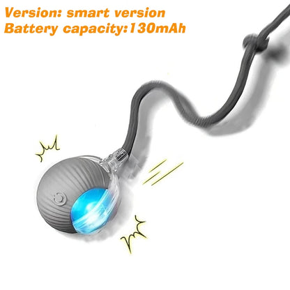 SmartPup Roller Ball – Interactive Rechargeable Dog Toy