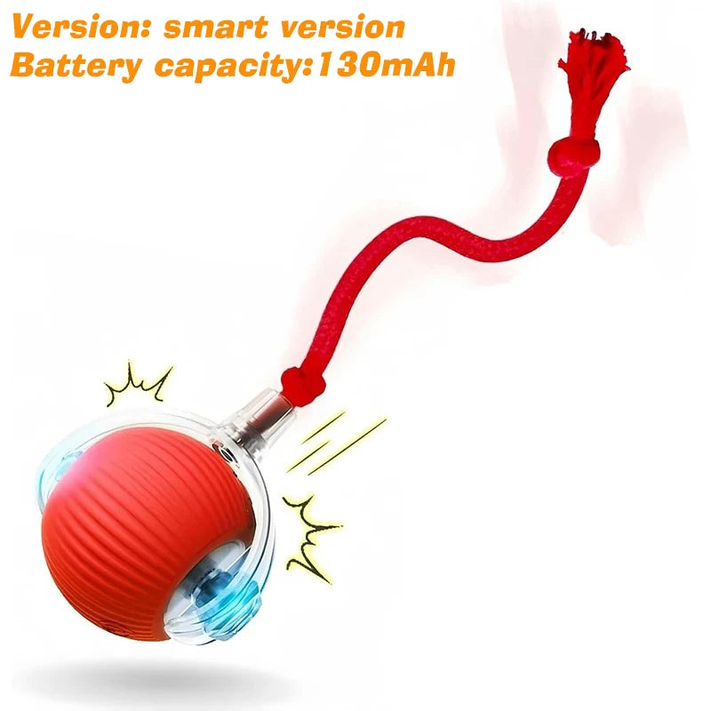 SmartPup Roller Ball – Interactive Rechargeable Dog Toy
