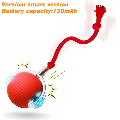 SmartPup Roller Ball – Interactive Rechargeable Dog Toy