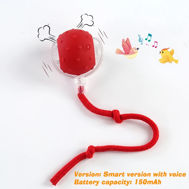 SmartPup Roller Ball – Interactive Rechargeable Dog Toy