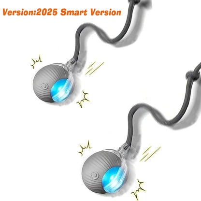 SmartPup Roller Ball – Interactive Rechargeable Dog Toy