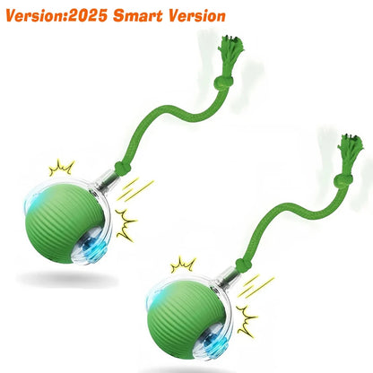 SmartPup Roller Ball – Interactive Rechargeable Dog Toy