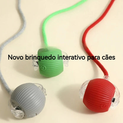 SmartPup Roller Ball – Interactive Rechargeable Dog Toy