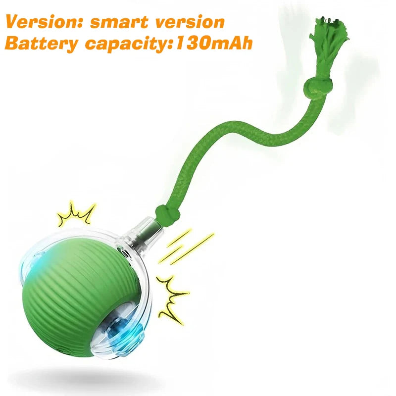SmartPup Roller Ball – Interactive Rechargeable Dog Toy