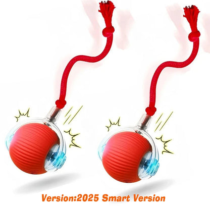 SmartPup Roller Ball – Interactive Rechargeable Dog Toy
