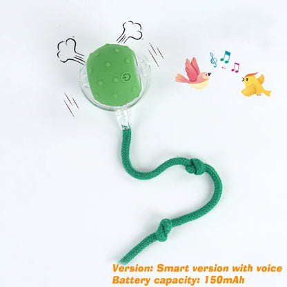 SmartPup Roller Ball – Interactive Rechargeable Dog Toy