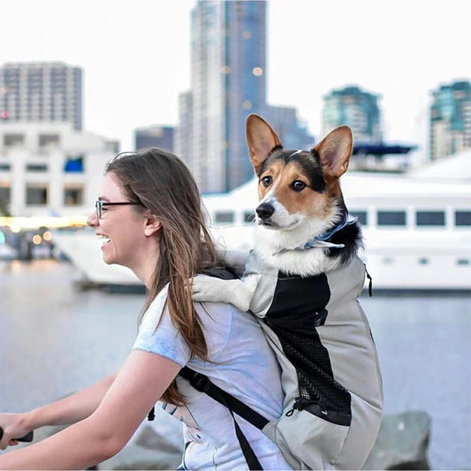 PetTrek™ Outdoor Dog Carrier – Strong Nylon Backpack for Small & Medium Breeds